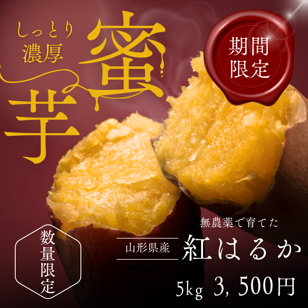 ※期間限定販売※なくなり次第終了 山形県産 紅はるか5kg