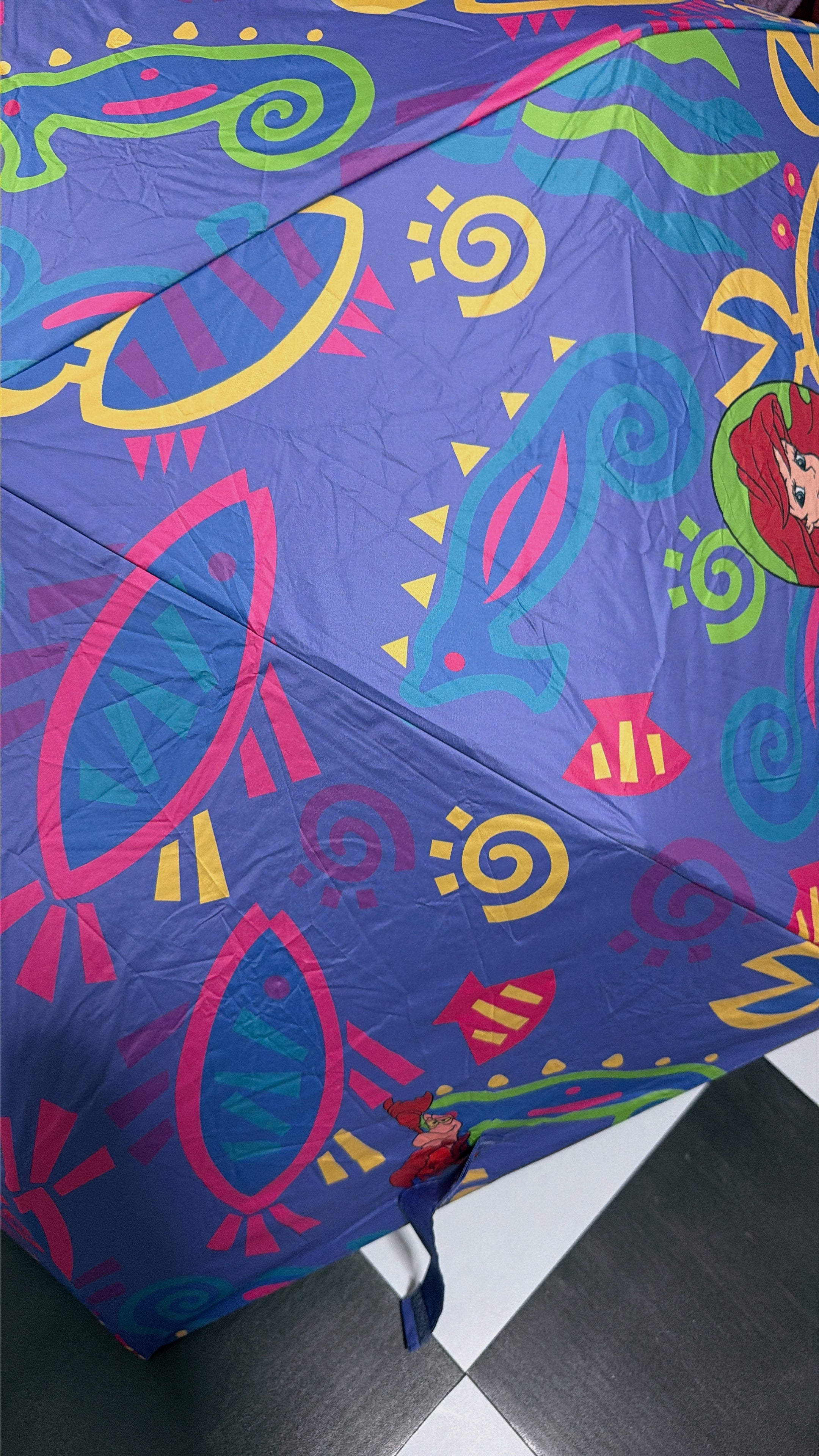 *Pre-order* 5 types of NOSTALGICA DISNEY All-weather Umbrella Series. Scheduled to ship from late April to early May.