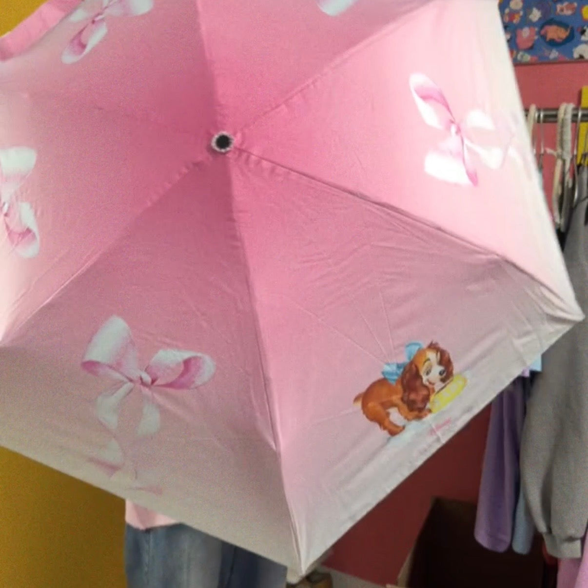 *Pre-order* 5 types of NOSTALGICA DISNEY All-weather Umbrella Series. Scheduled to ship from late April to early May.