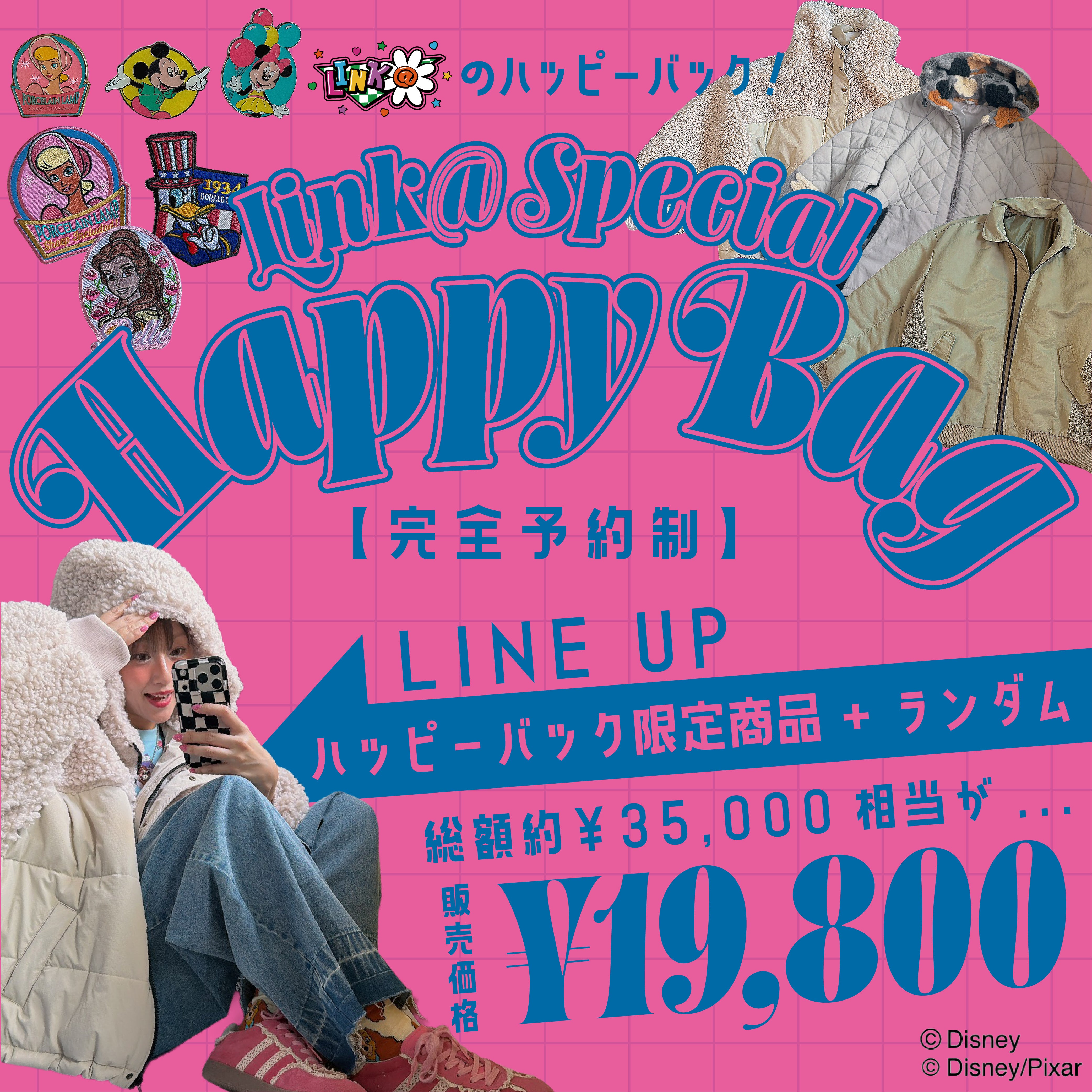 ※完全予約商品※限定商品が必ず入るLINK@のHAPPY BAG 11月出荷予定 約35,000円相当