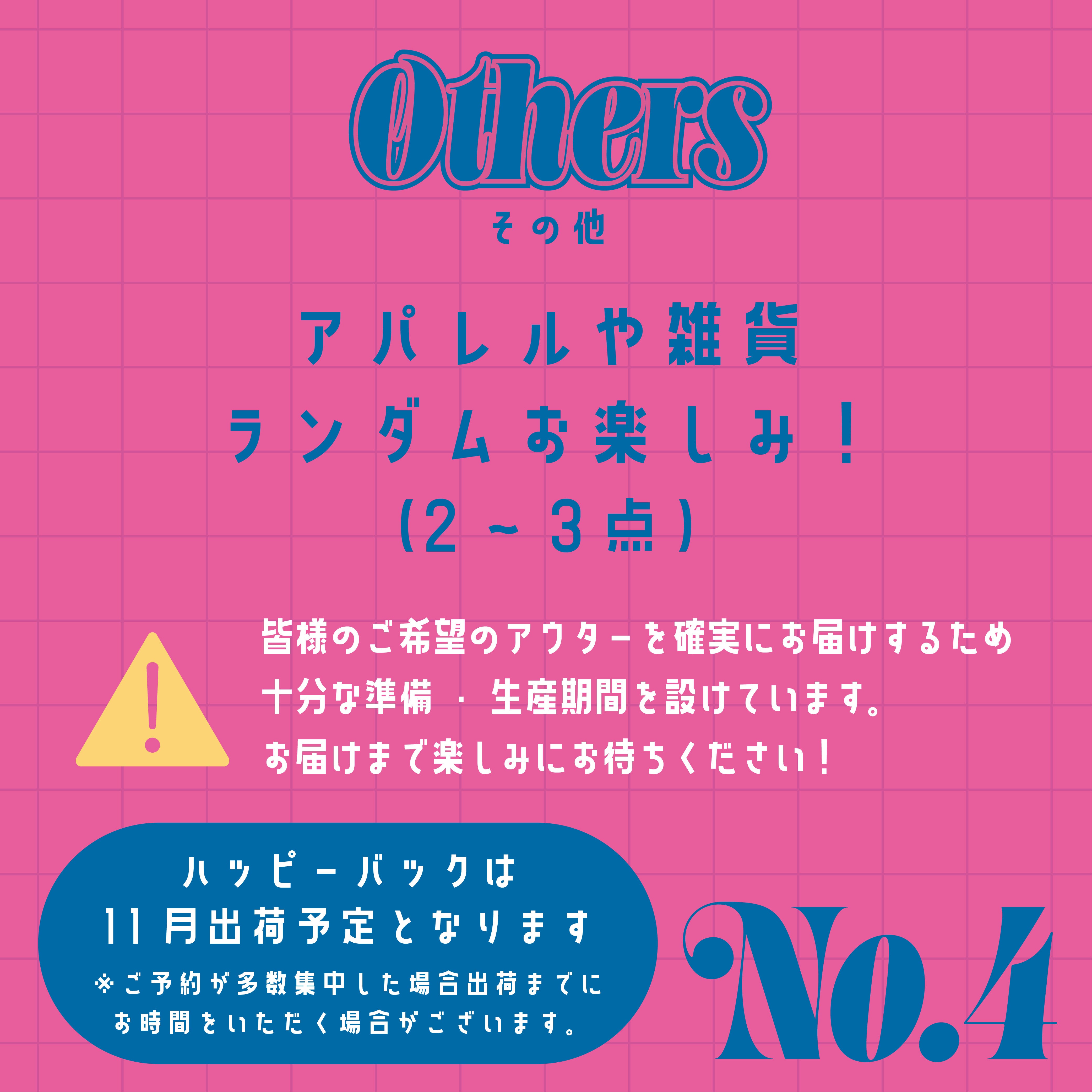 ※完全予約商品※限定商品が必ず入るLINK@のHAPPY BAG 11月出荷予定 約35,000円相当