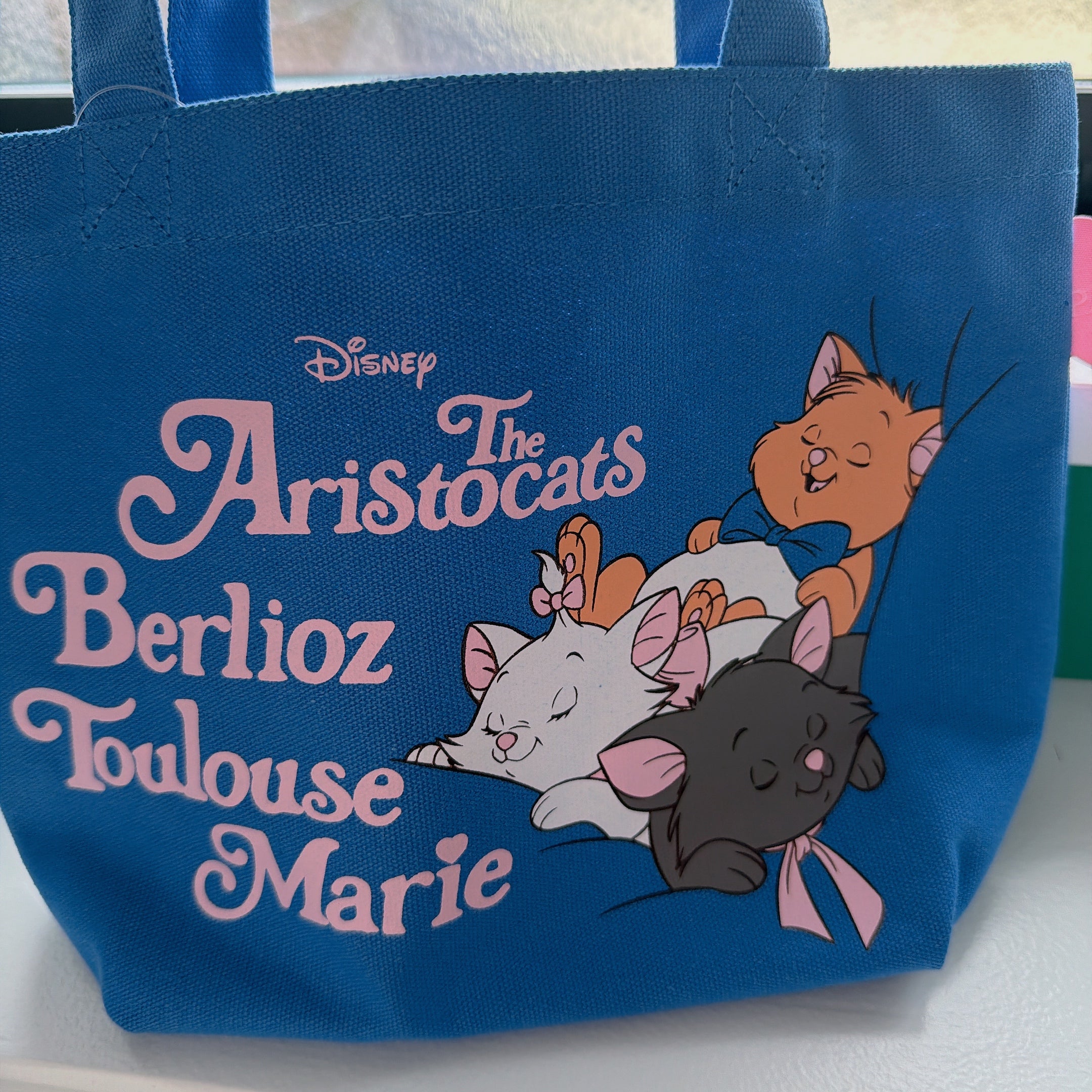 ※予約※5種類 DISNEYミニトートバッグ 3月時下旬ごろの出荷予定