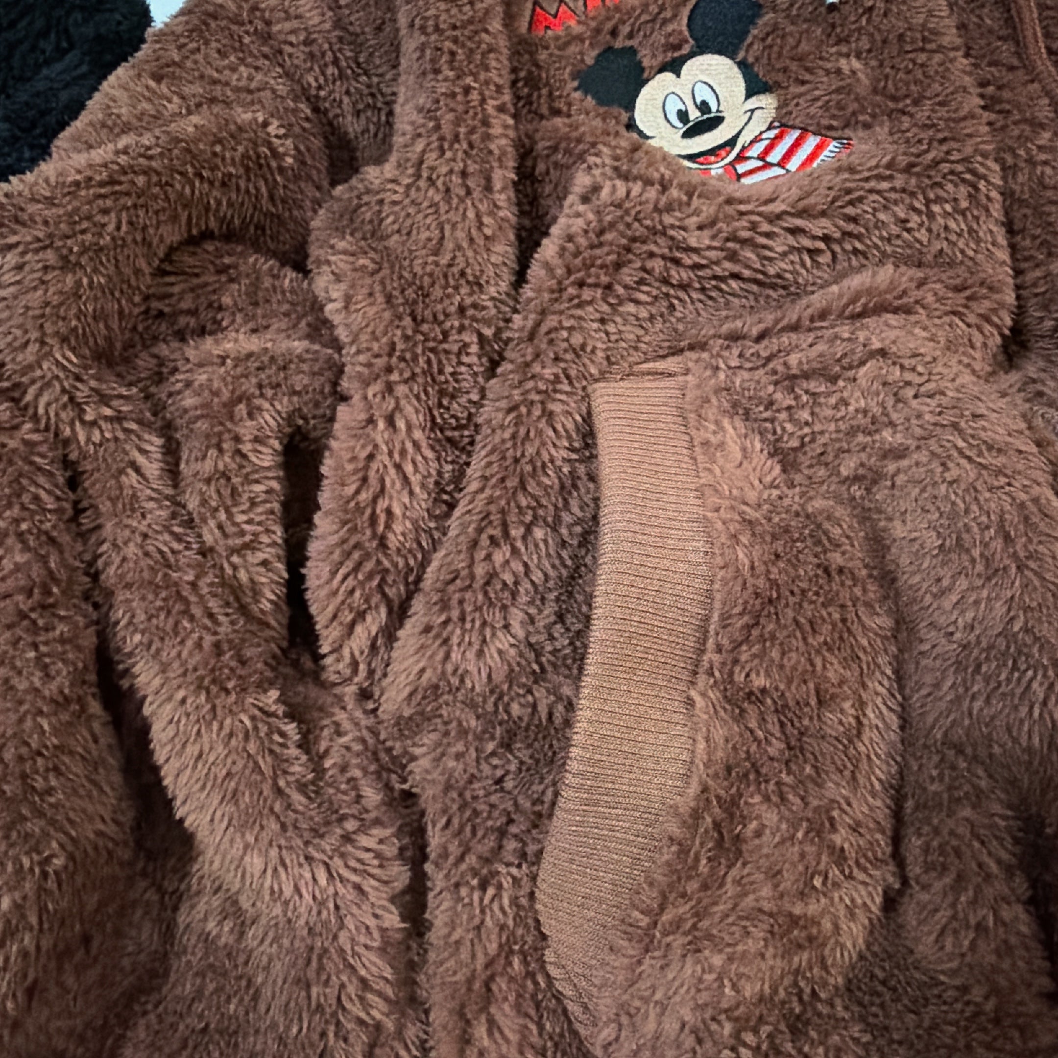 ※予約※2色⭐︎シーズナル限定⭐︎ミッキーミニー刺繍耳付きボアパーカー 12月下旬〜1月上旬お届け予定