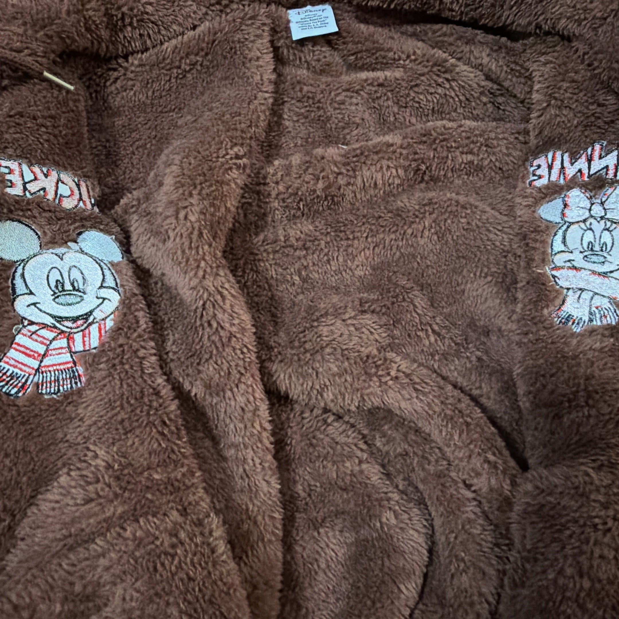 ※予約※2色⭐︎シーズナル限定⭐︎ミッキーミニー刺繍耳付きボアパーカー 12月下旬〜1月上旬お届け予定