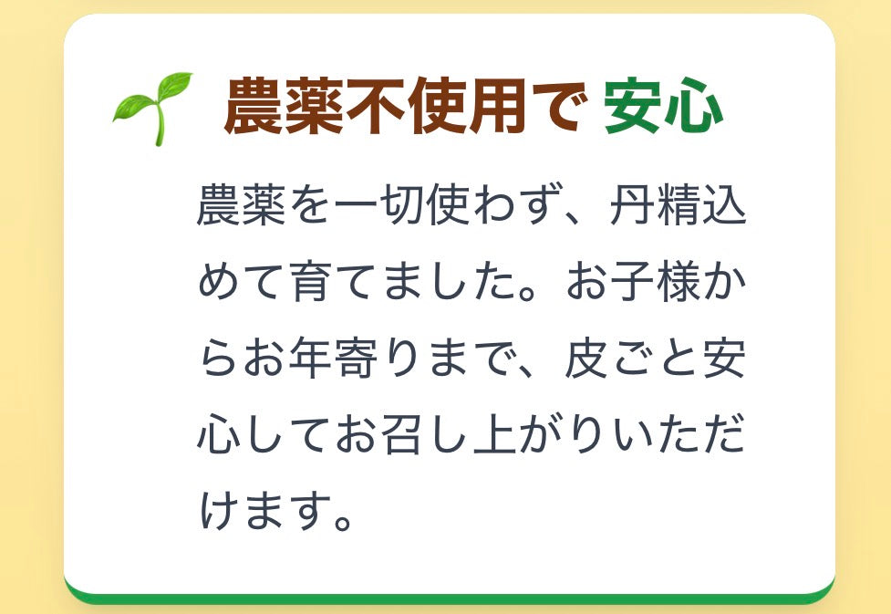 ※期間限定販売※なくなり次第終了 山形県産 紅はるか5kg