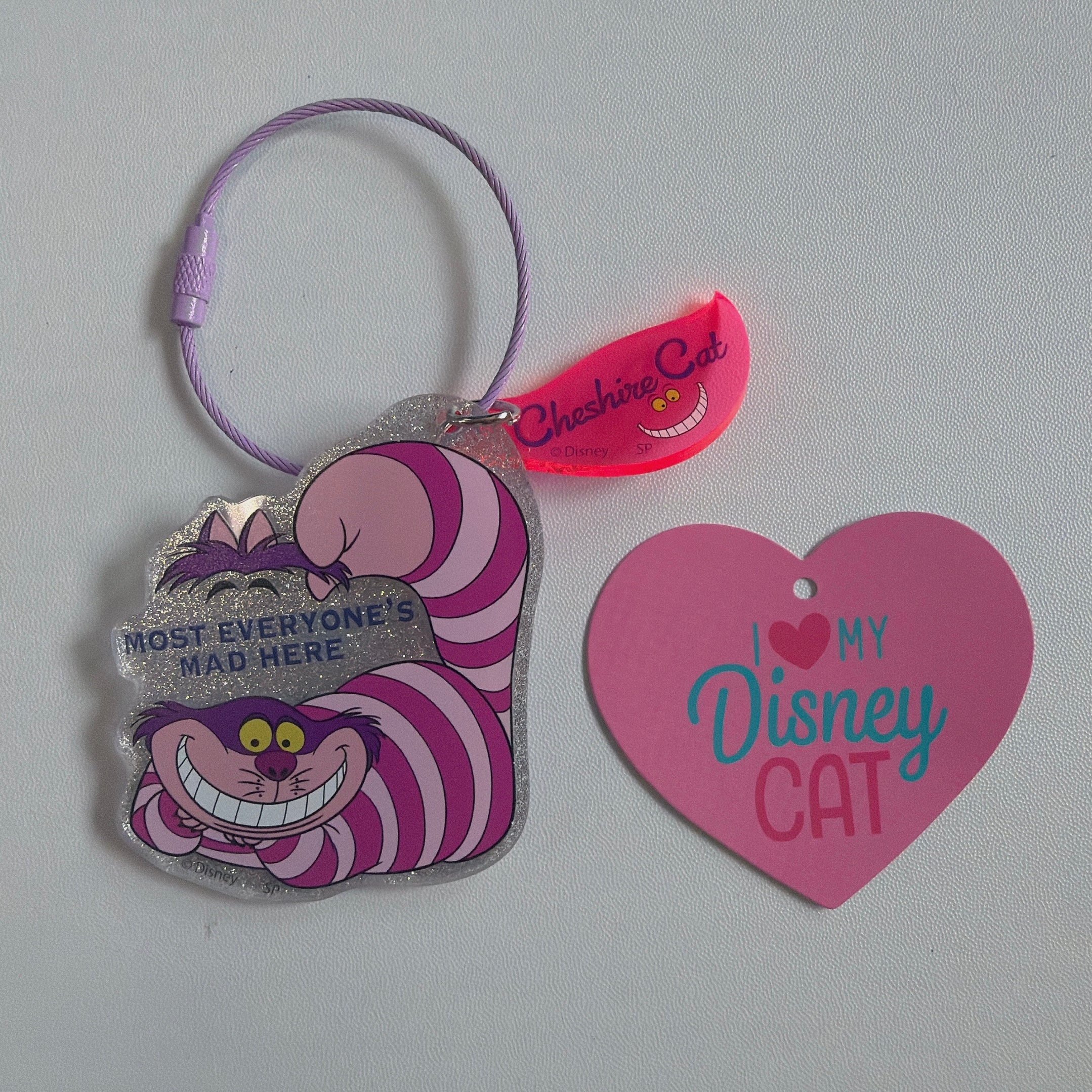 ※予約※ 8種類 DISNEY 犬猫シリーズ アクリルキーホルダー 6月中旬の発送予定