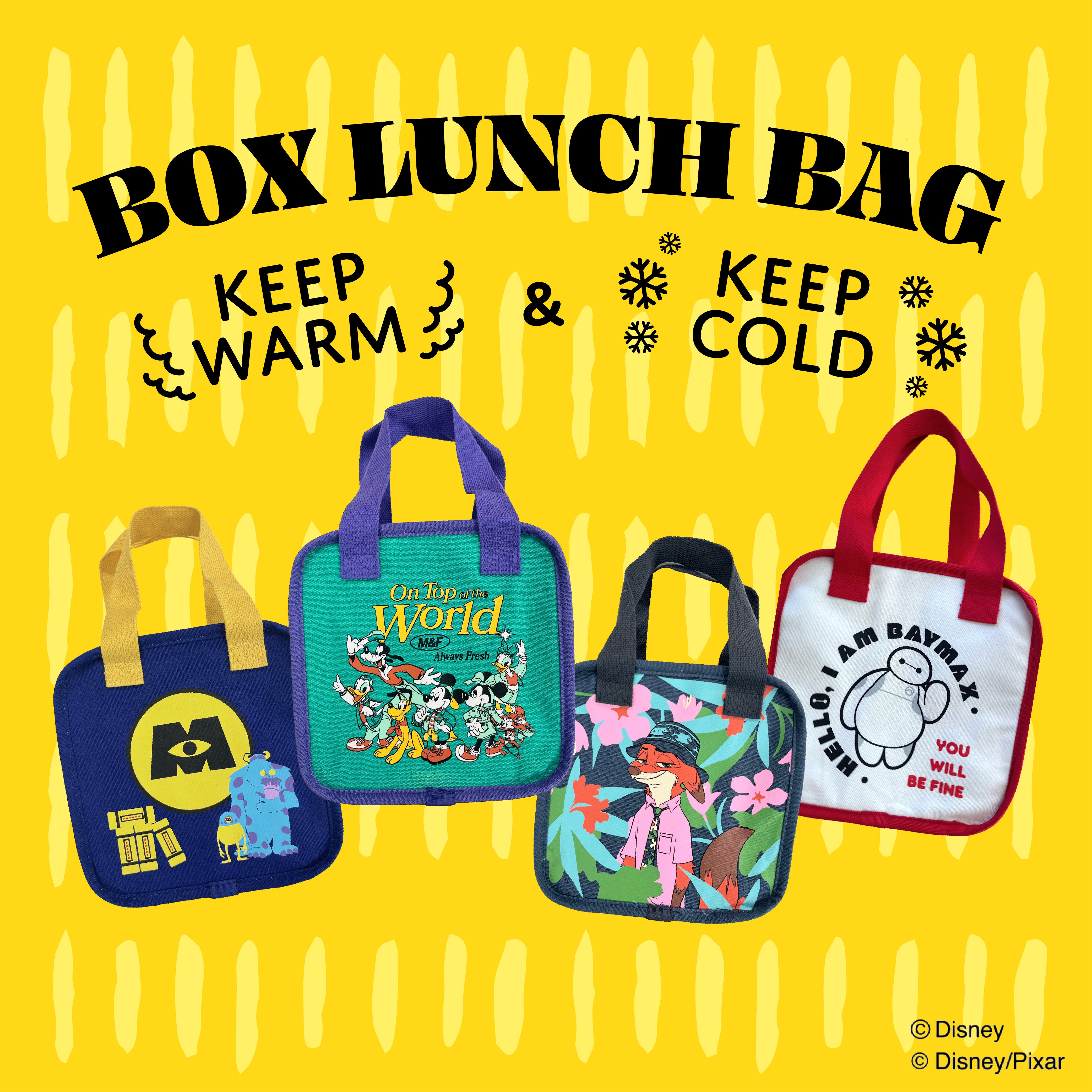 予約※4種類 ボックス保温保冷バッグ 5月中の出荷予定