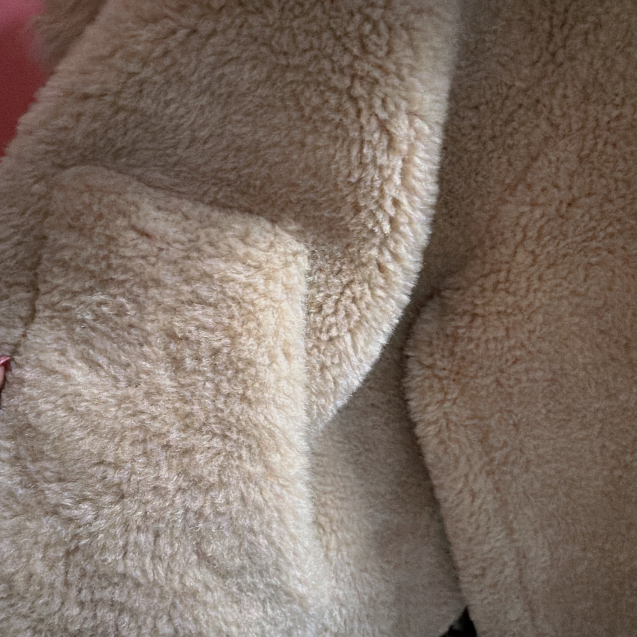 ※予約※2色 セーターカーラームートンジャケット 1月中の出荷予定