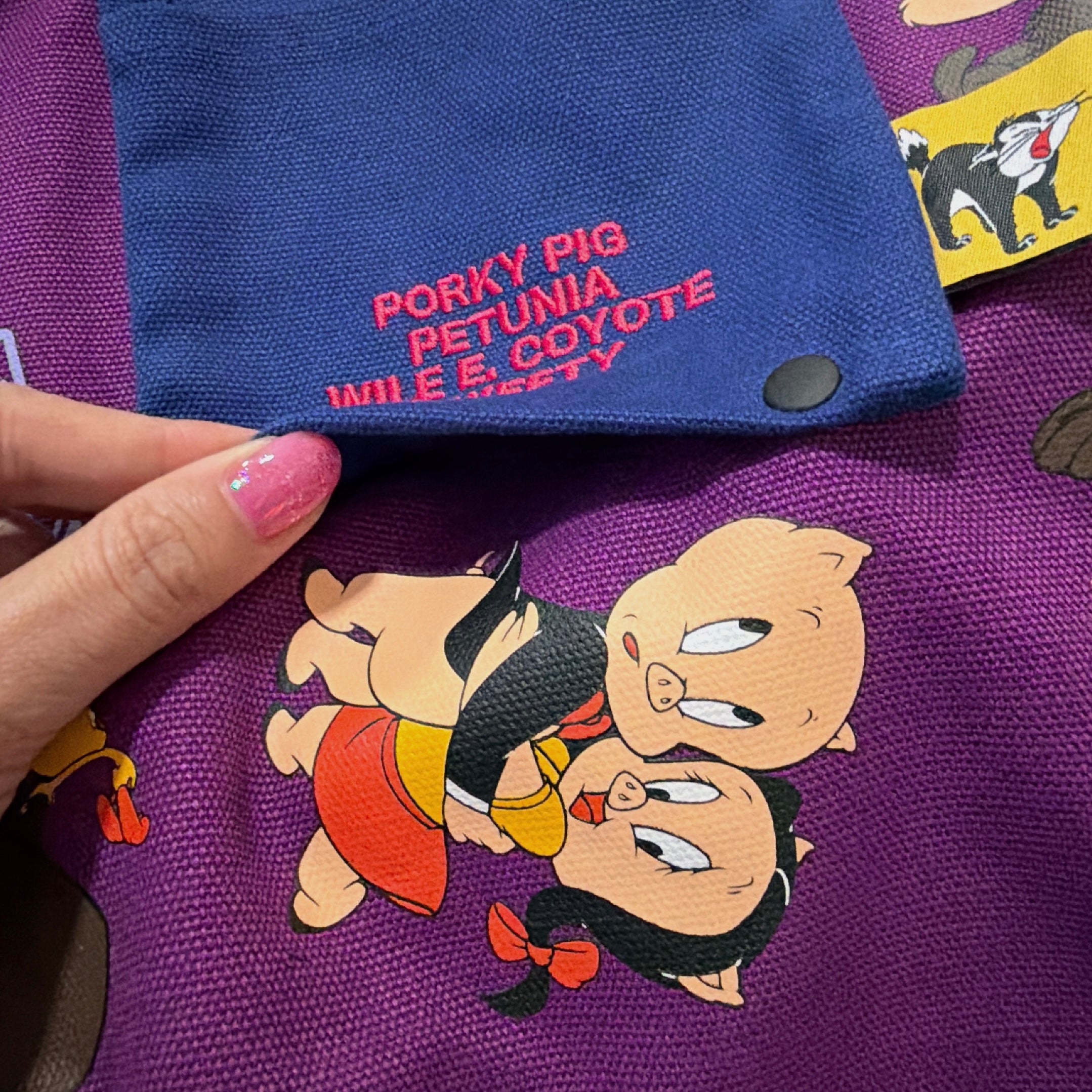 *Pre-order* 8 Types Looney Tunes NOSTALGICA Bi-color Bag - Scheduled for shipment in August