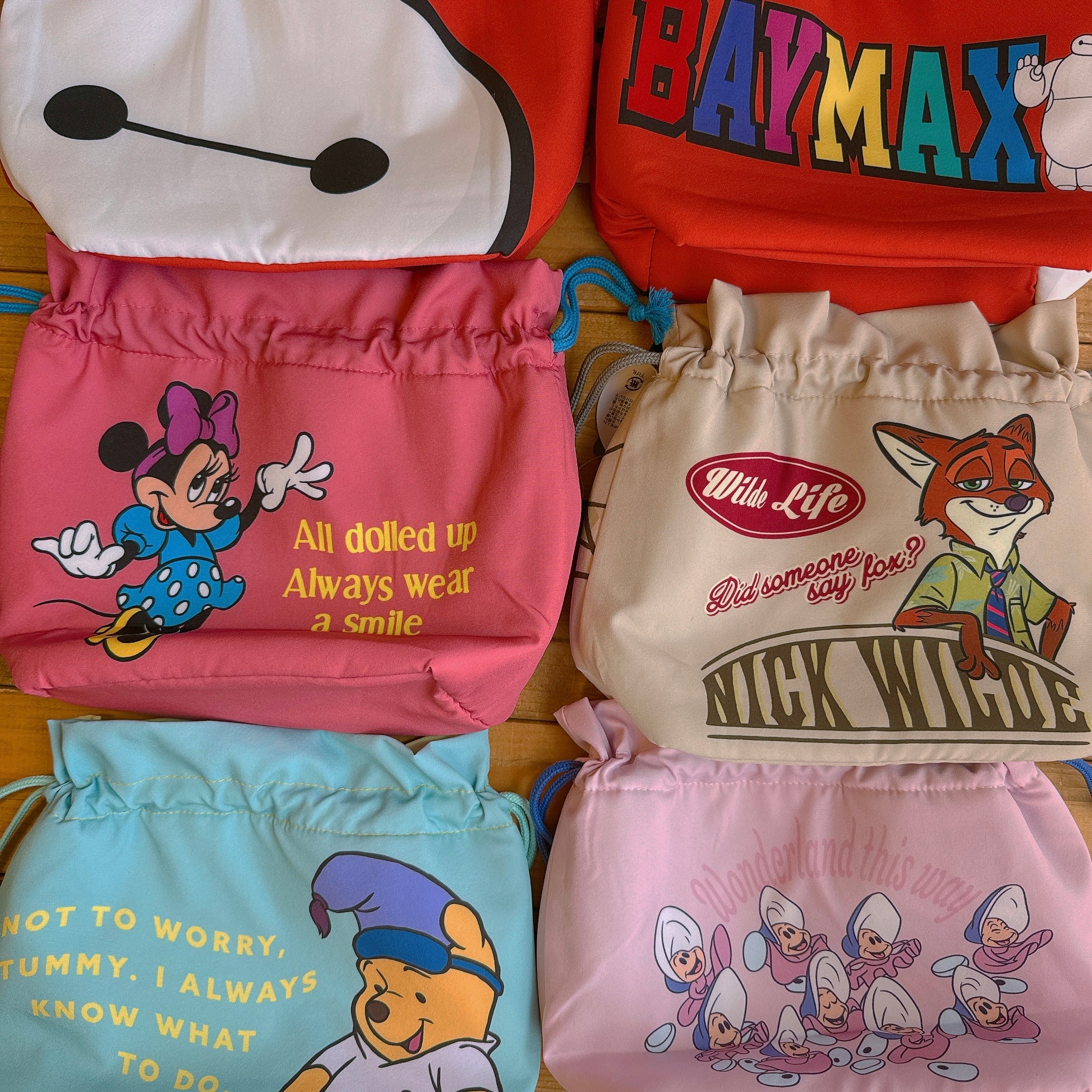 Pre-order: 5 types of Disney insulated lunch pouches. Shipment scheduled for April 9th.