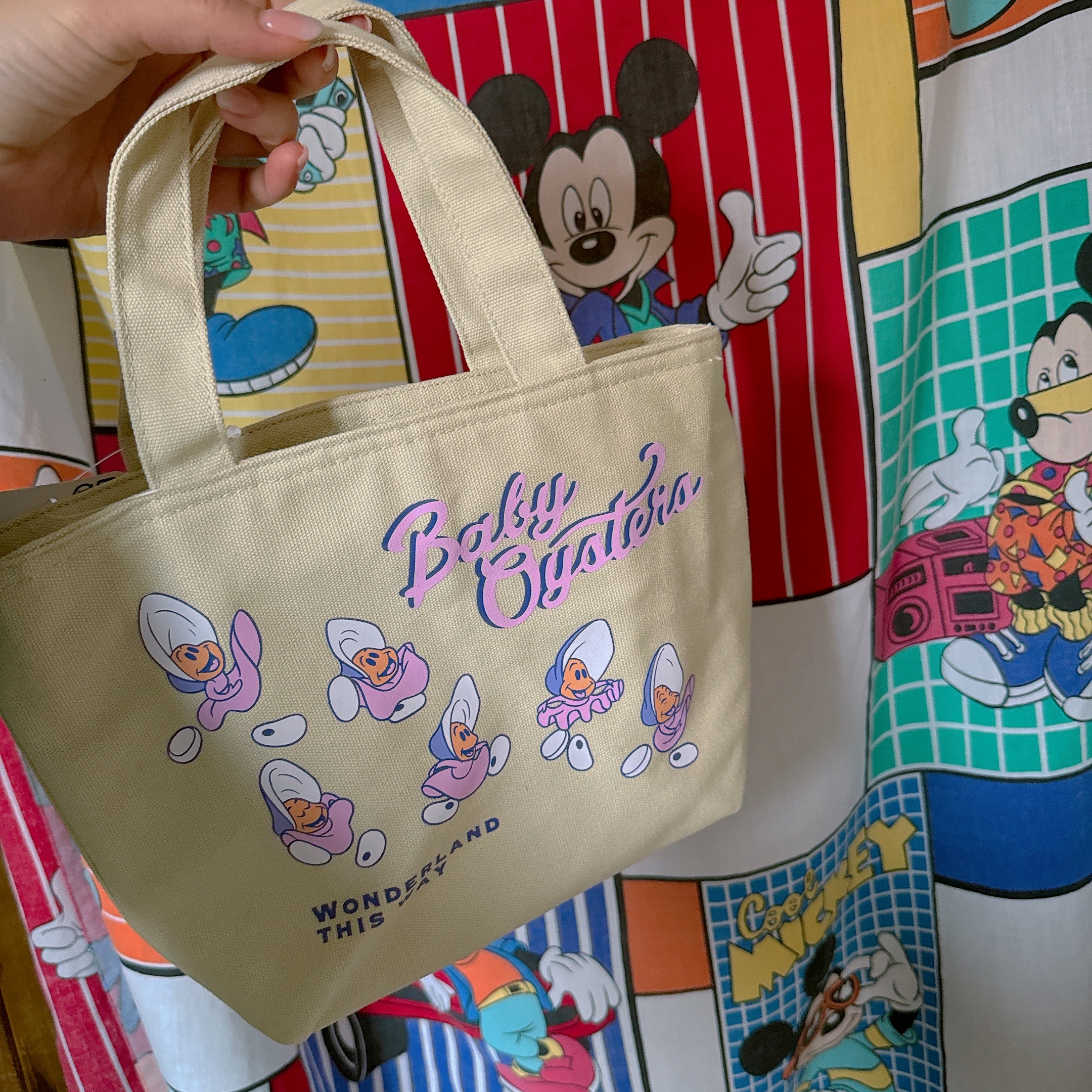 Pre-order: 5 types of Disney insulated lunch bags with zippers. Shipment scheduled for April 9th.