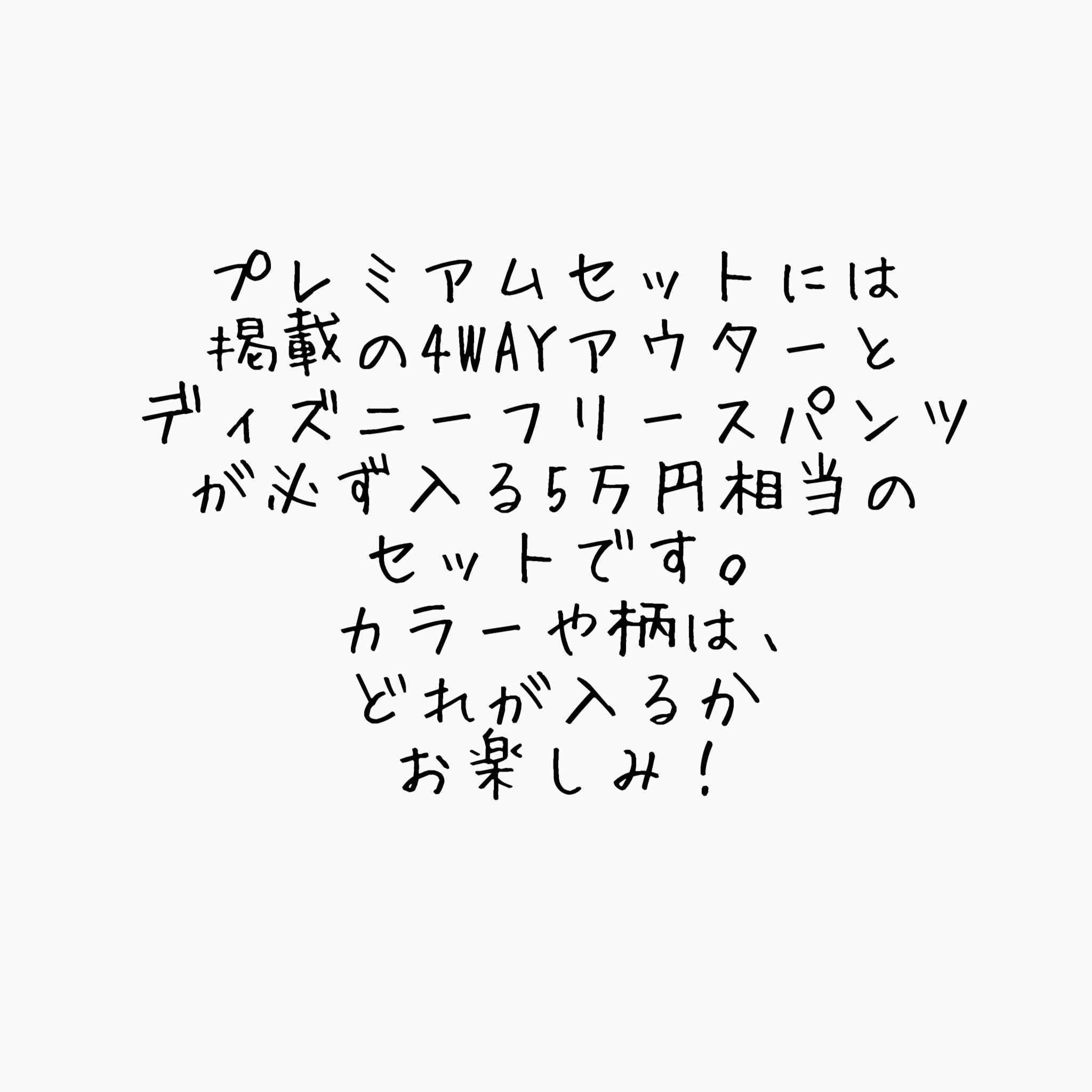 ※予約※大人サイズ2025年プレミアムNEW YEAR BAG⭐︎1/5〜9の間でお届け予定